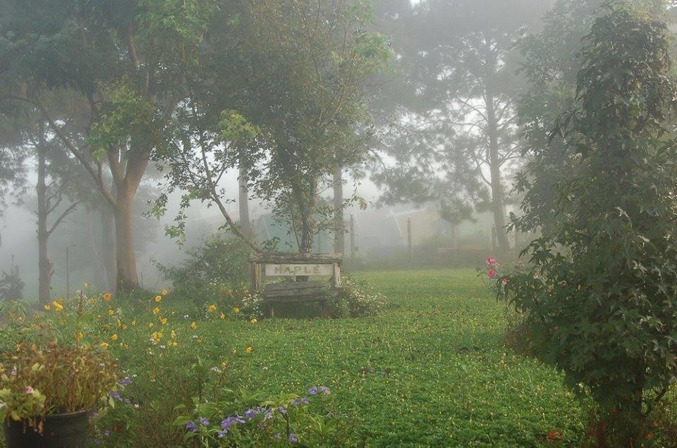 Hotel Red Z Cool Mountain Amphoe Amphoe Khao Kho Exterior foto