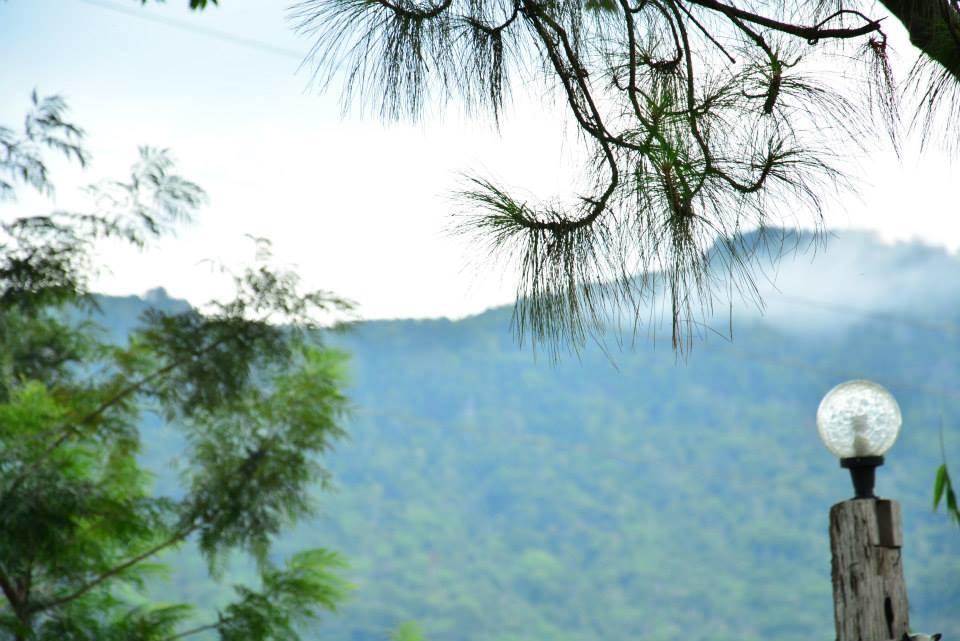 Hotel Red Z Cool Mountain Amphoe Amphoe Khao Kho Exterior foto